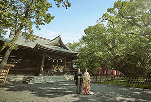 フォトギャラリー02